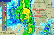 Rain Totals Over Winter Wheat