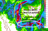 Much Needed Weekend Rains Coming To US Winter Wheat