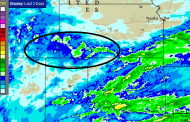 Winter Wheat Gets Rain, But Not Everywhere